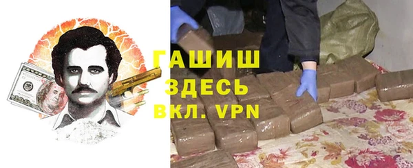 прущие грибы Абаза