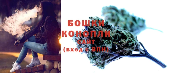прущие грибы Абаза