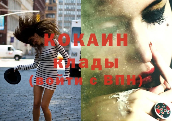 прущие грибы Абаза