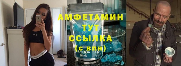прущие грибы Абаза