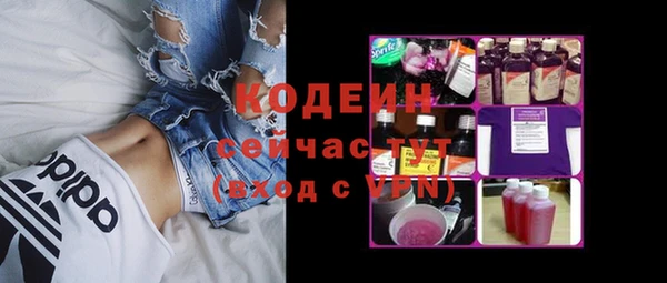 прущие грибы Абаза