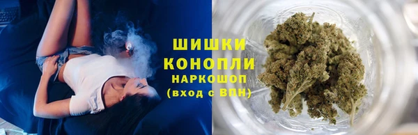 прущие грибы Абаза