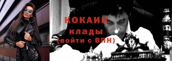 мяу мяу мука Новодвинск