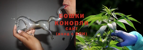 прущие грибы Абаза