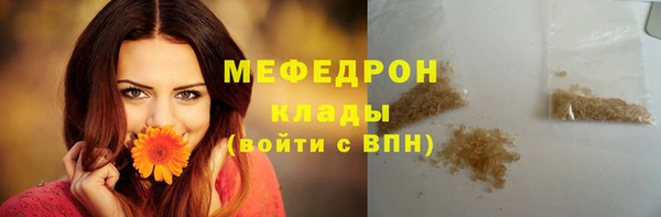 прущие грибы Абаза