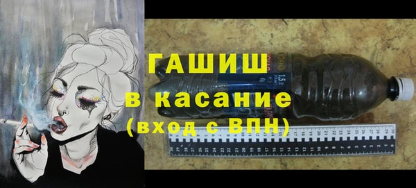 прущие грибы Абаза