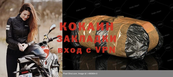 прущие грибы Абаза
