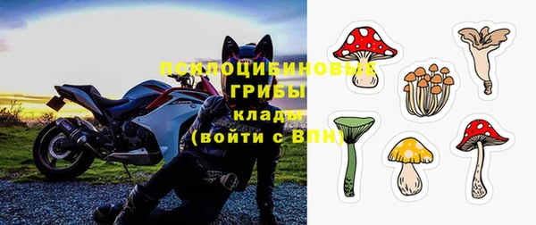 стаф Абинск