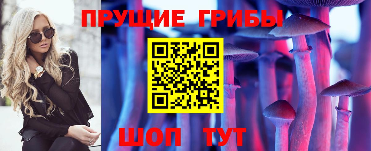 Псилоцибиновые грибы GOLDEN TEACHER Туапсе